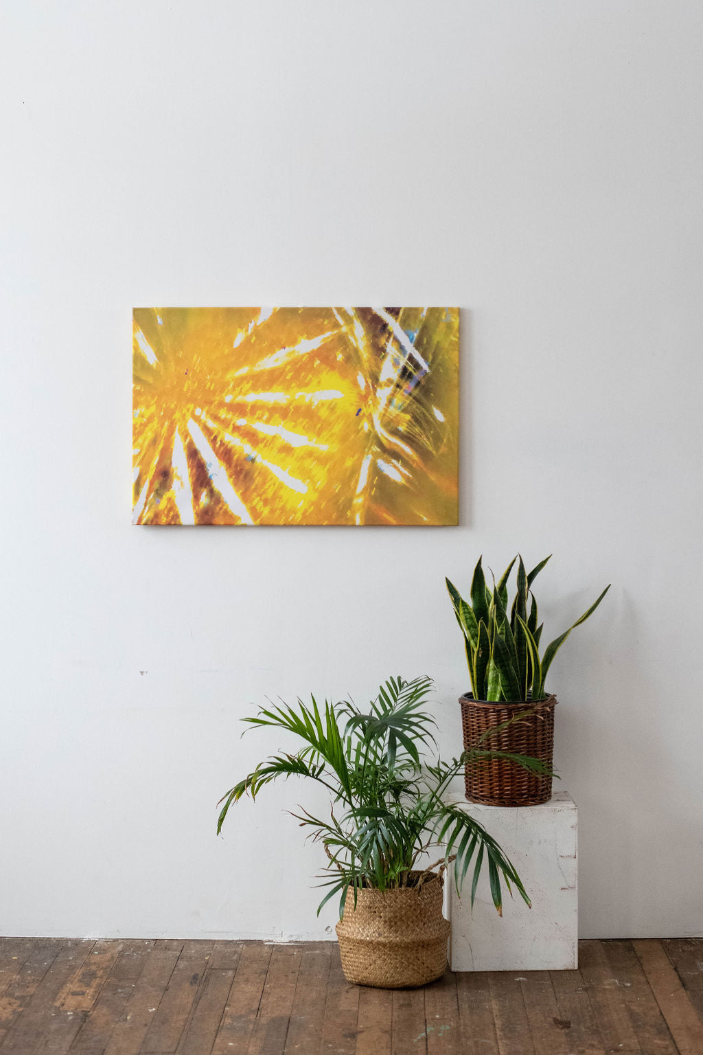 #06 Canvas Print