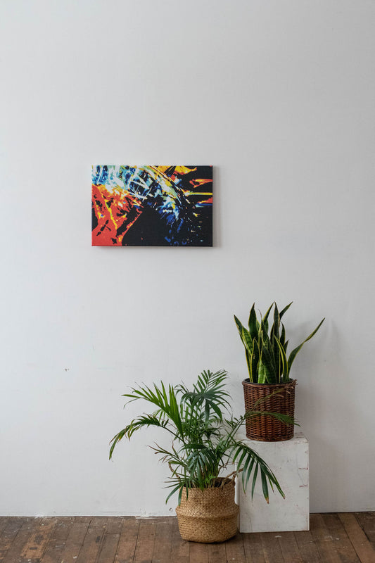 #66 Canvas Print